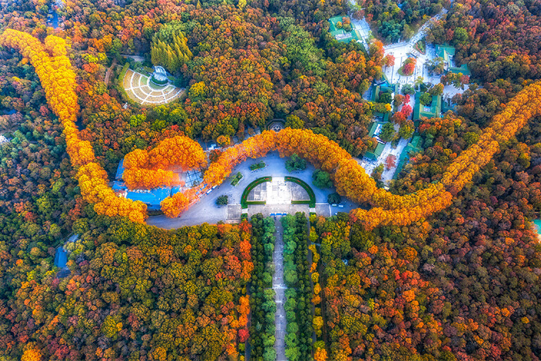 Zijin Mountain - Sun Yat-sen Mausoleum Top Attractions & Things to Do in Nanjing