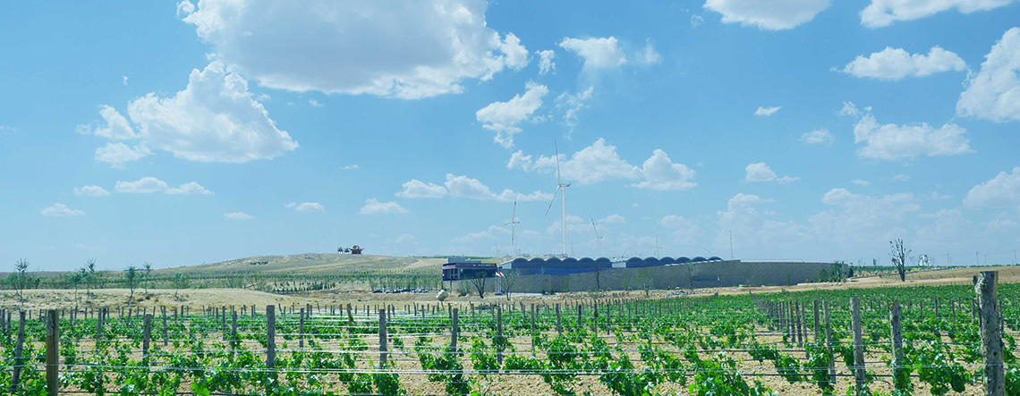 6 Days Ningxia Luxury Homestay Tour with Winery and Desert Camping 2025