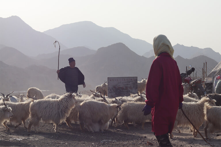 Local People in Suji Yellow River Top Attractions & Things to Do in Ningxia