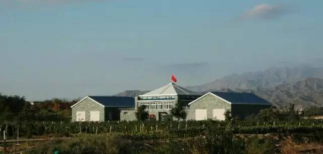 Helan Qingxue Winery Ningxi Wineries