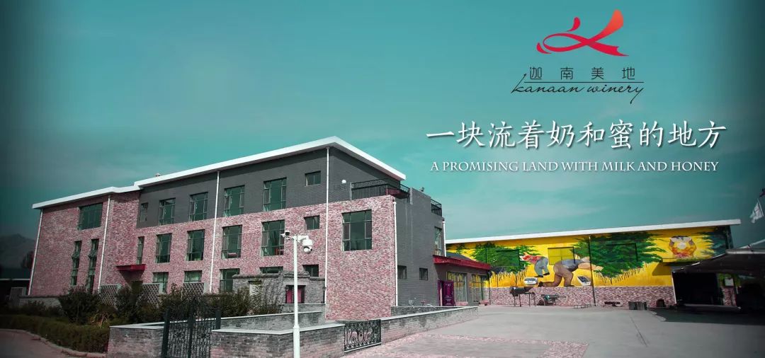 Kanaan Winery Ningxia Wineries