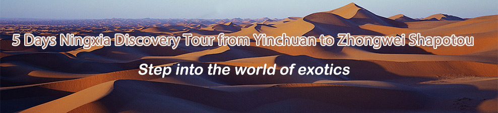 Yinchuan to Zhongwei Tour