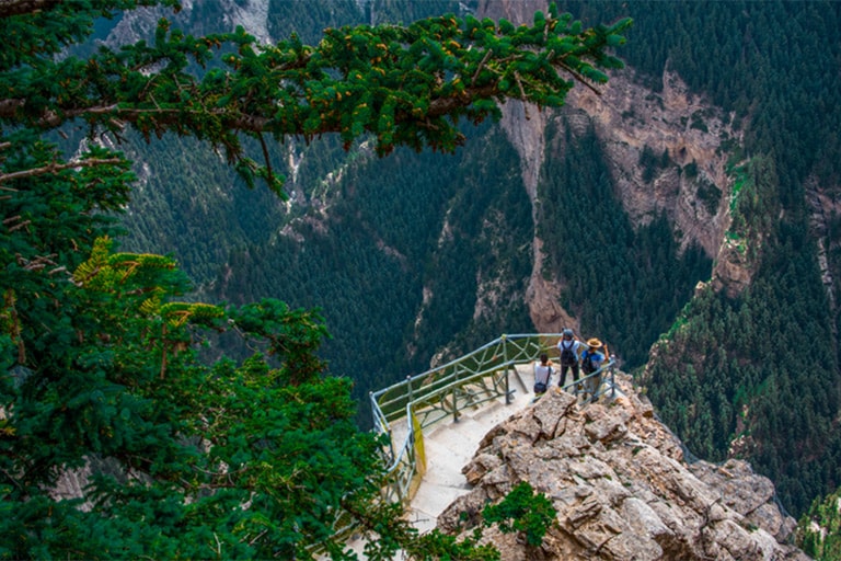 Suyukou National Forest Park Helan Mountain