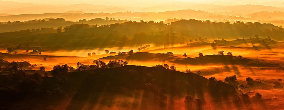 Bashang Grassland Photography Tour