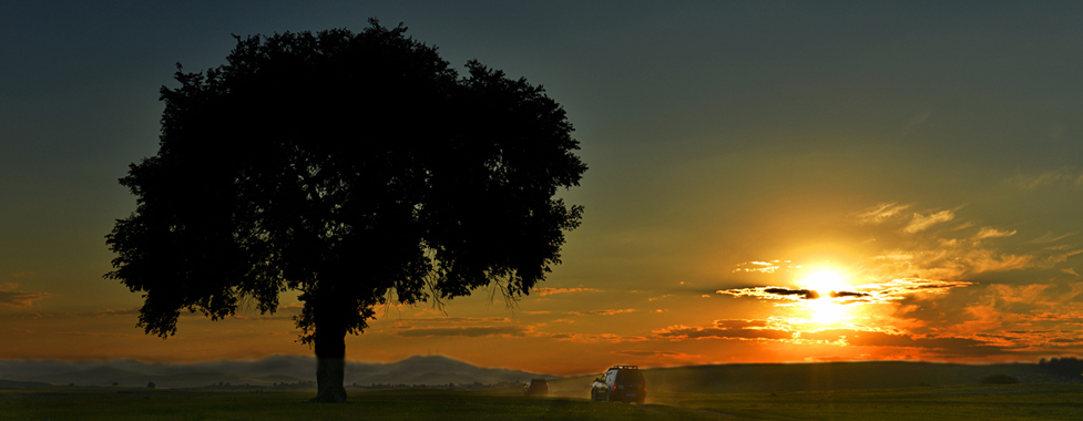 Bashang Grassland Photography Tour