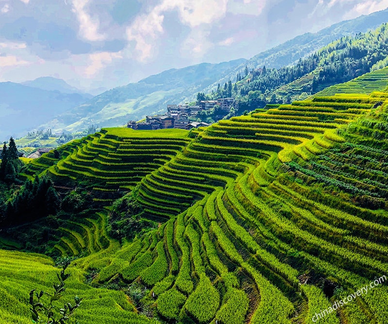 Longji Terrace