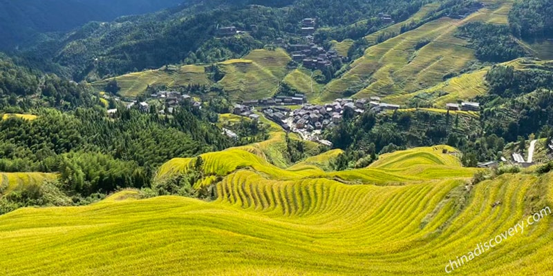 Longji Terrace