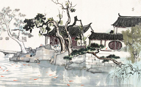 Suzhou Garden Photography