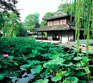 Suzhou Garden Photography