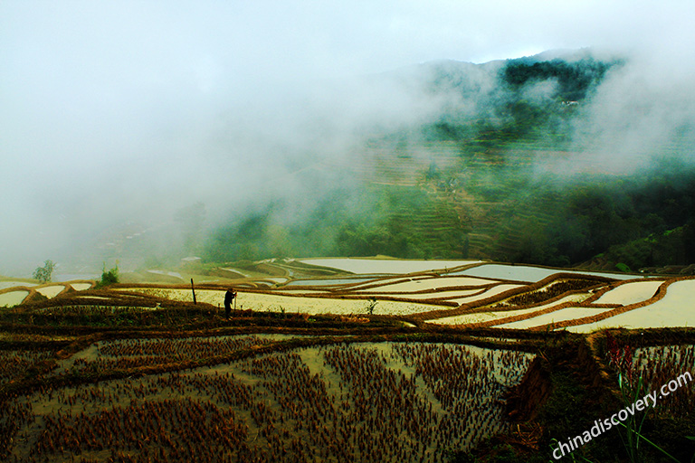 Longshuba Rice Terrace in Yuanyang