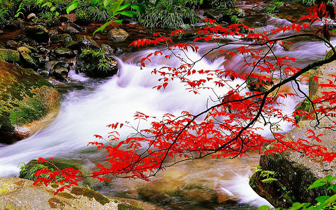 Zhangjiajie Photography Tour