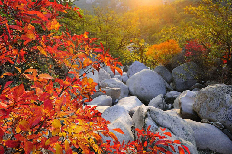 Autumn in Qingdao