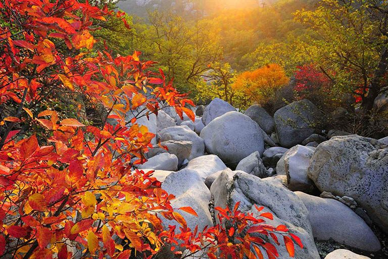 Yangkou Scenic Spot in Autumn Laoshan