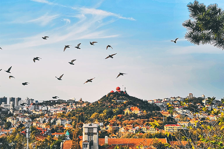 View from Xiaoyushan Park Qingdao Sightseeing