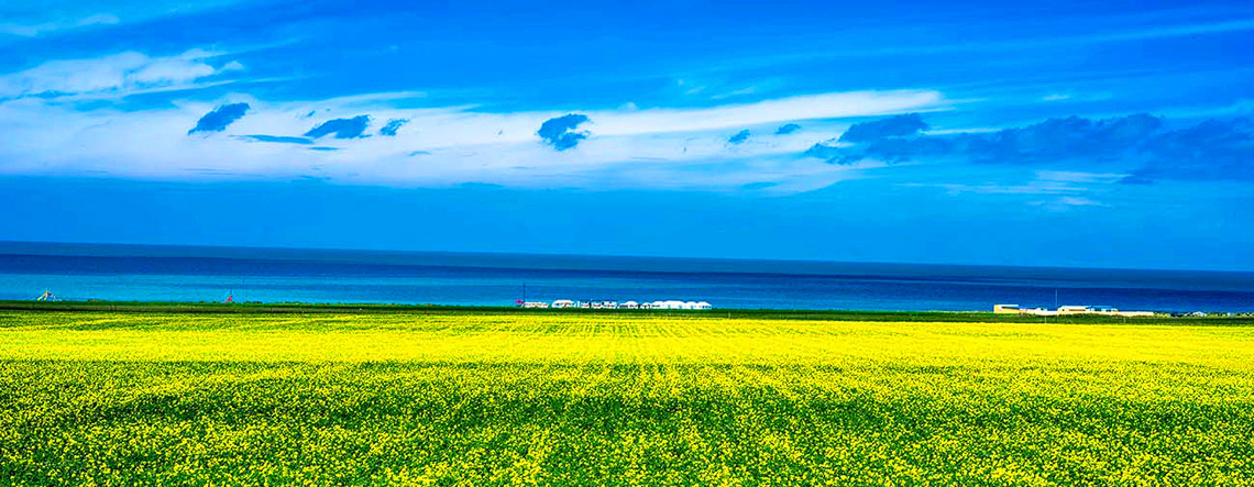 4 Days Qinghai Lake Kanbula National Forest Park Geographic Wonder Tour 2025
