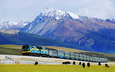 Qinghai Tibet Train