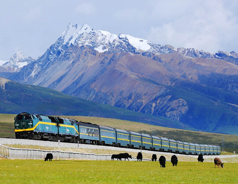 Train Running to Tibet through Grassland and Snowy Mountains 