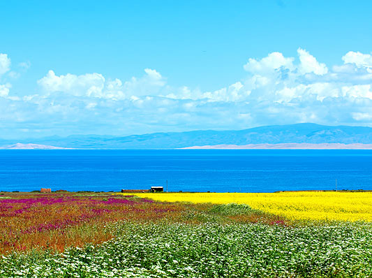 Qinghai Lake