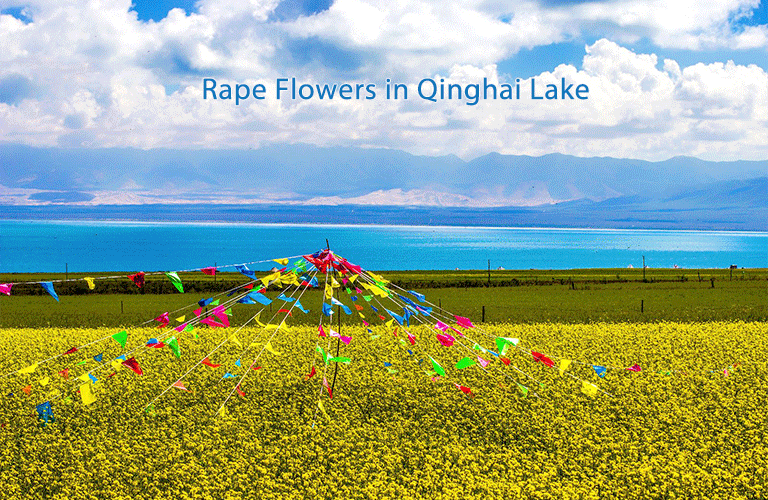 Qinghai Lake Weather