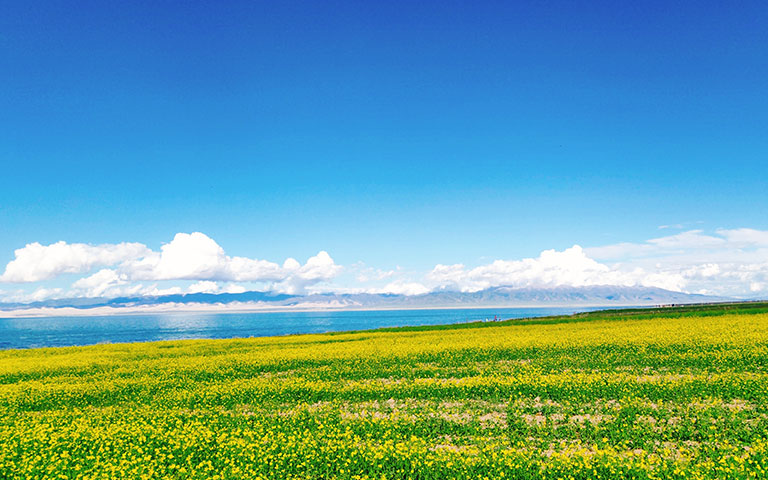 Qinghai Lake