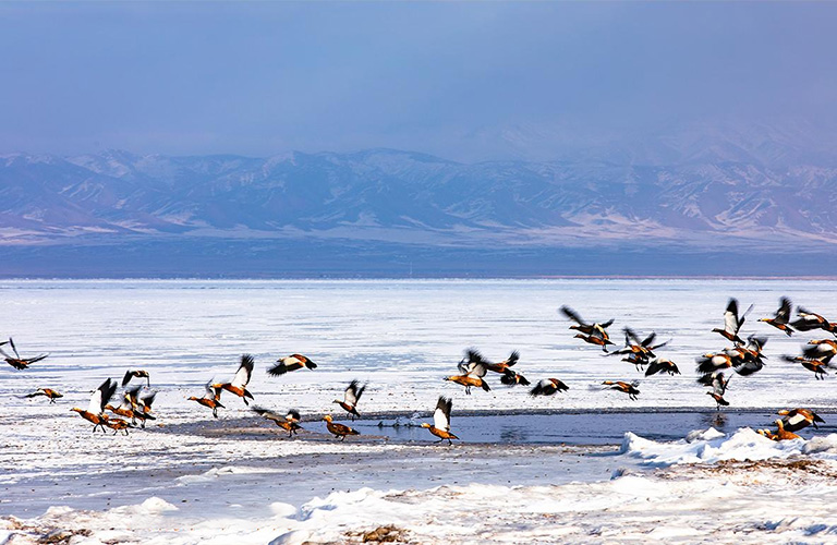 Frozen Qinghai Lake Qinghai Lake Weather