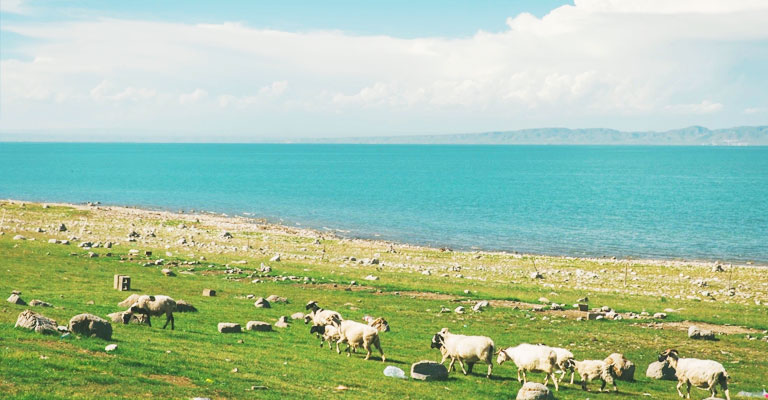 Qinghai Lake