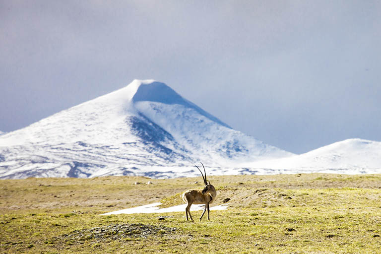 Scenery along the Qinghai Tibet Railway