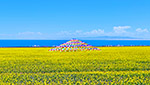 4 Days Qinghai Lake Chaka Salt Lake Tour - view enchanting plateau lakes