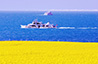Qinghai Tours 2025/2026