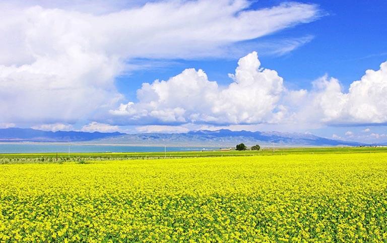 12 Days Epic Silk Road Tour including Qinghai Lake and Zhangye Danxia 2025/2026