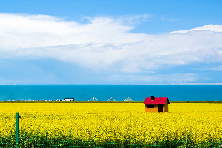 Qinghai Lake in Summer Qinghai Weather