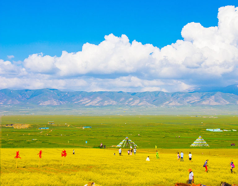 Summer in Qinghai