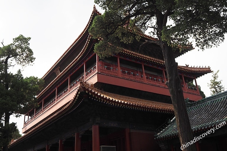 Qufu Travel Guide