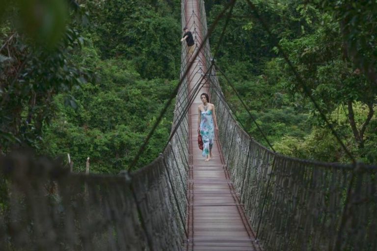 Dragon Rope Bridge Yalong Bay Tropical Paradise Forest Park