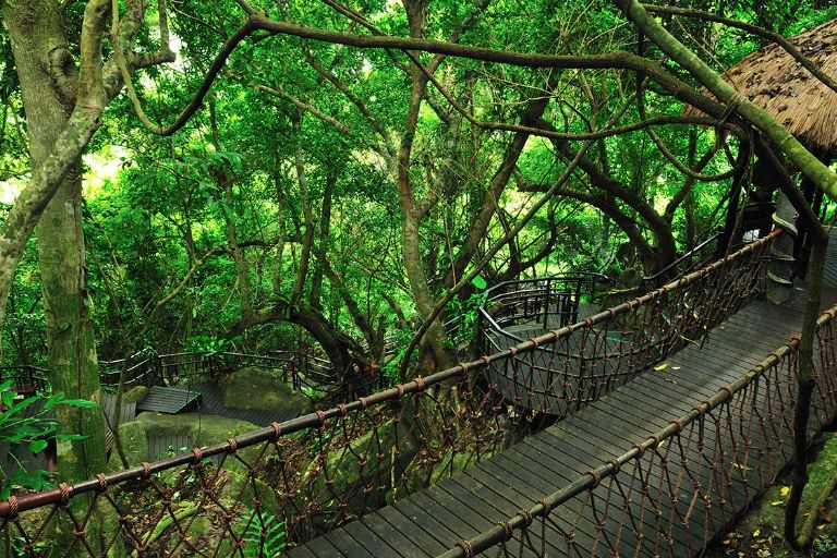 Yanoda Rainforest