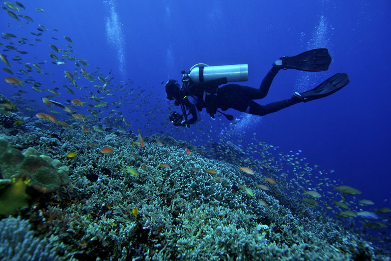 Sanya Diving