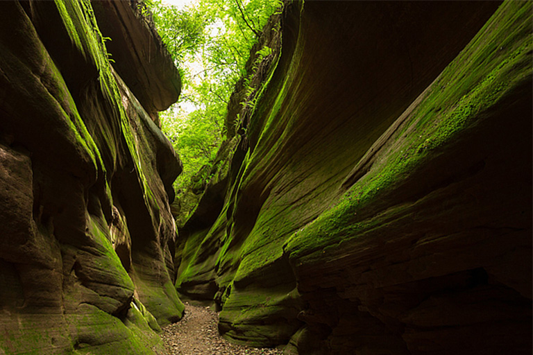 Ganquan Yucha Grand Canyon