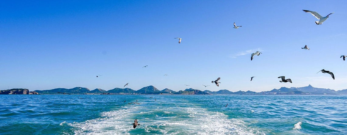 Classic Weihai Tour 2025