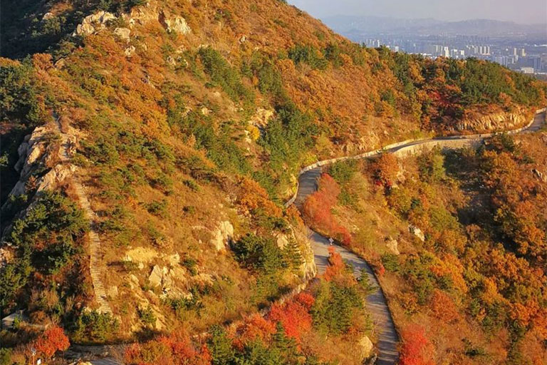 Autumn in Yantai