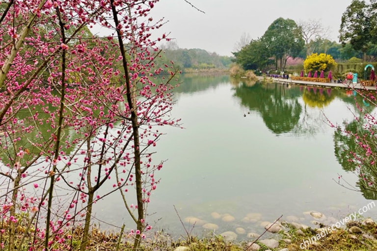 Things to Do in Shanghai Enjoy the Tranquil Atmosphere in Shanghai City Park