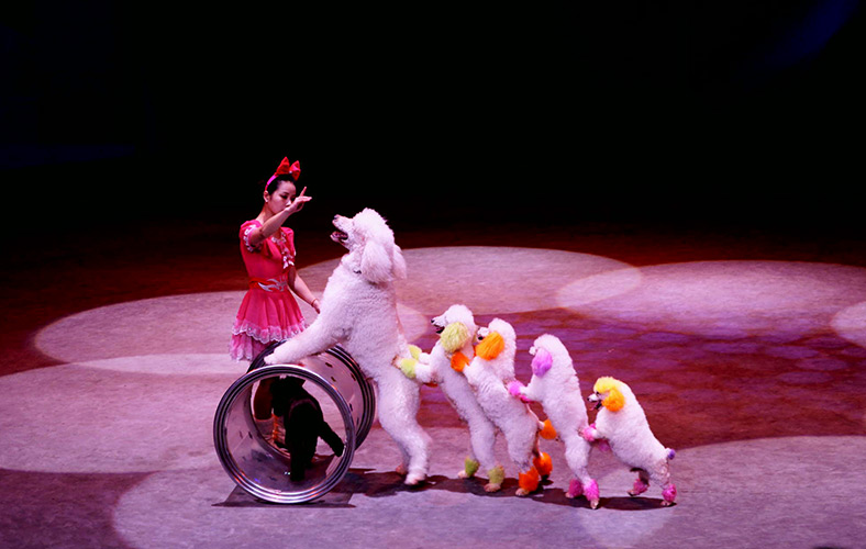 Shanghai Circus World  