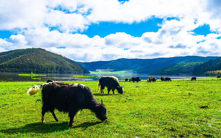 Pudacuo National Park