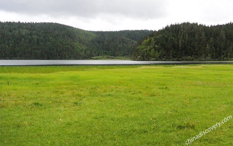 Shudu Lake of Pudacuo National Park 