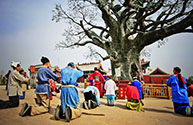 Hongtong Grand Pagoda Tree