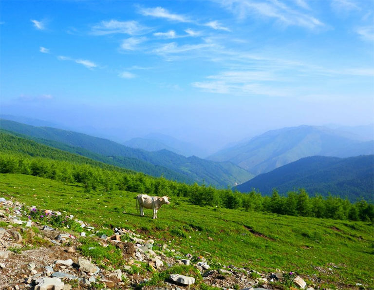 Mount Wutai Hiking