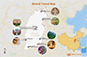 Shanxi Tours 2025/2026