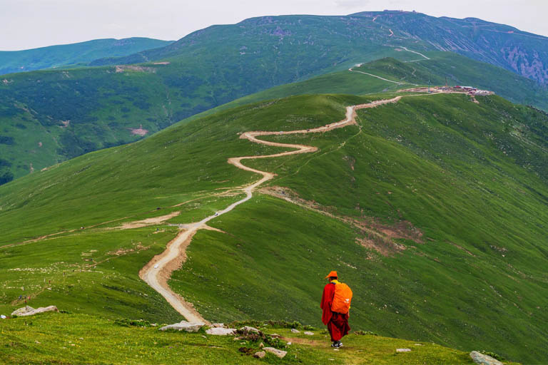 Green Mount Wutai in July How to Plan a Shanxi Tour - Shanxi Trip Planner