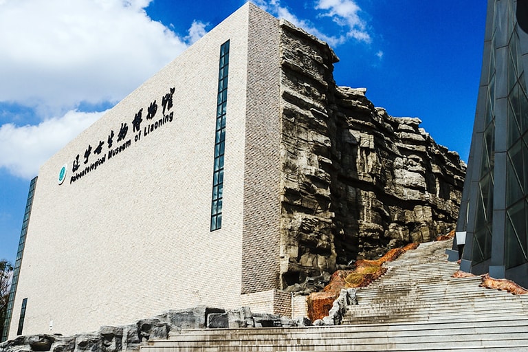 Liaoning Provincial Museum - the first museum established in New China