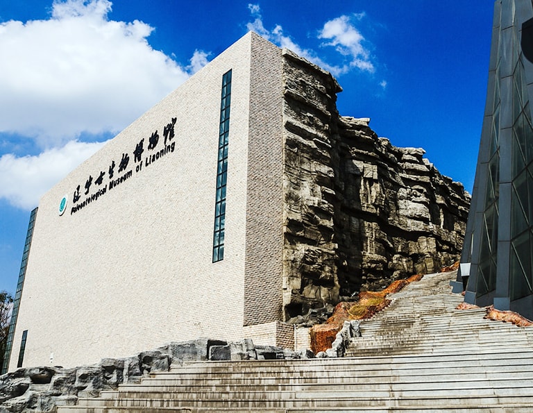 Liaoning Provincial Museum - the first museum established in New China