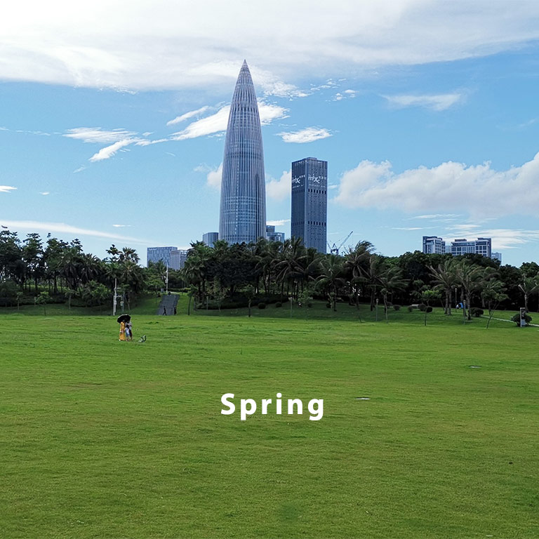 Shenzhen in Spring
